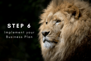implement your business plan