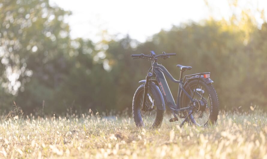 What is the best e-bike for hilly terrain?