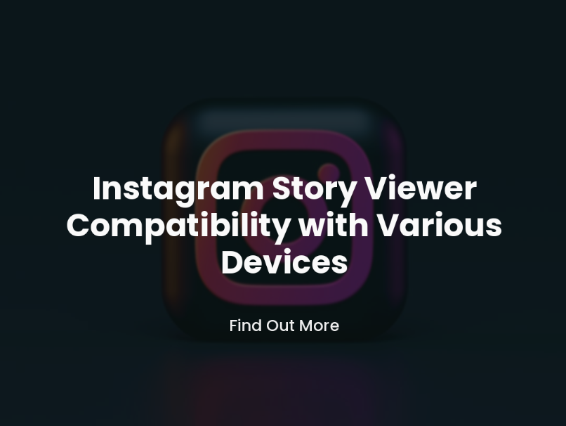 Instagram Story Viewer