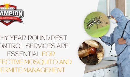 Pest Control Services