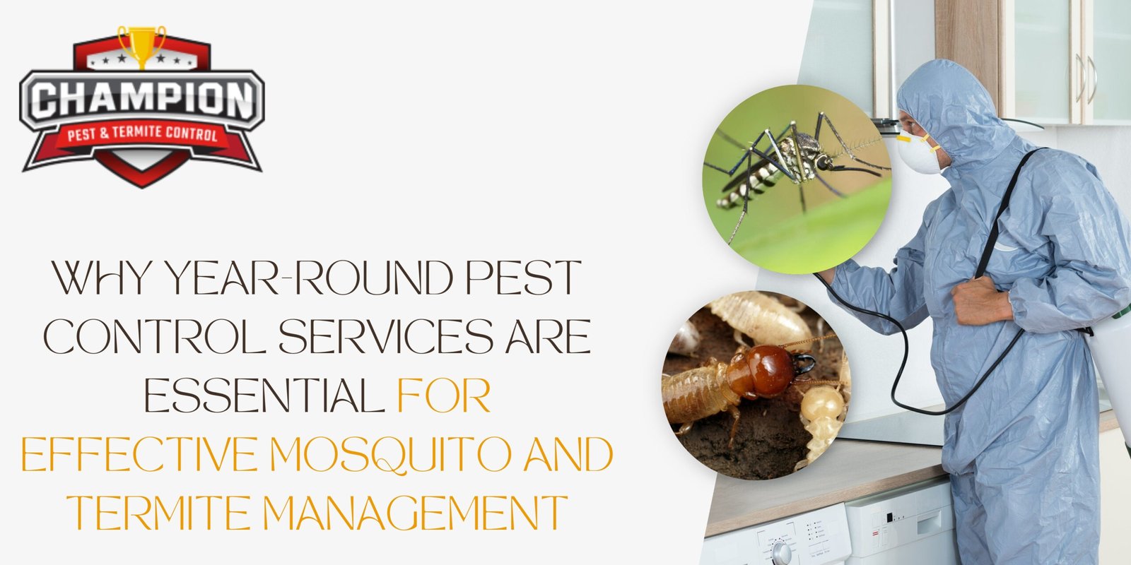 Pest Control Services
