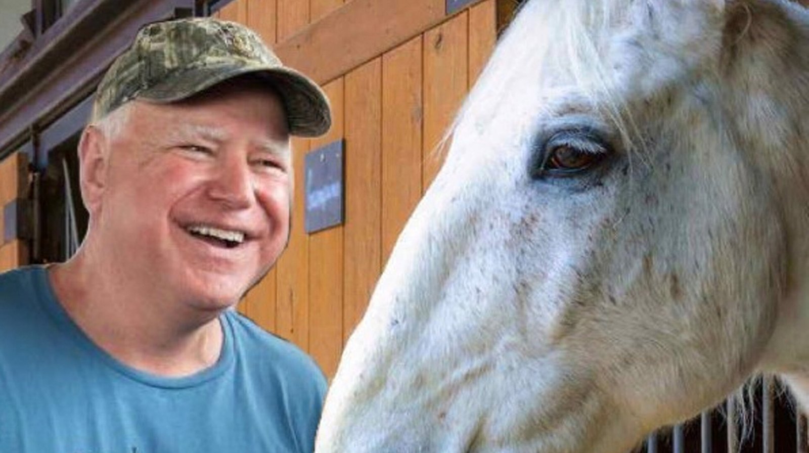 Tim Walz Horse