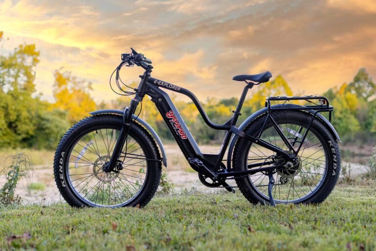 long range ebike