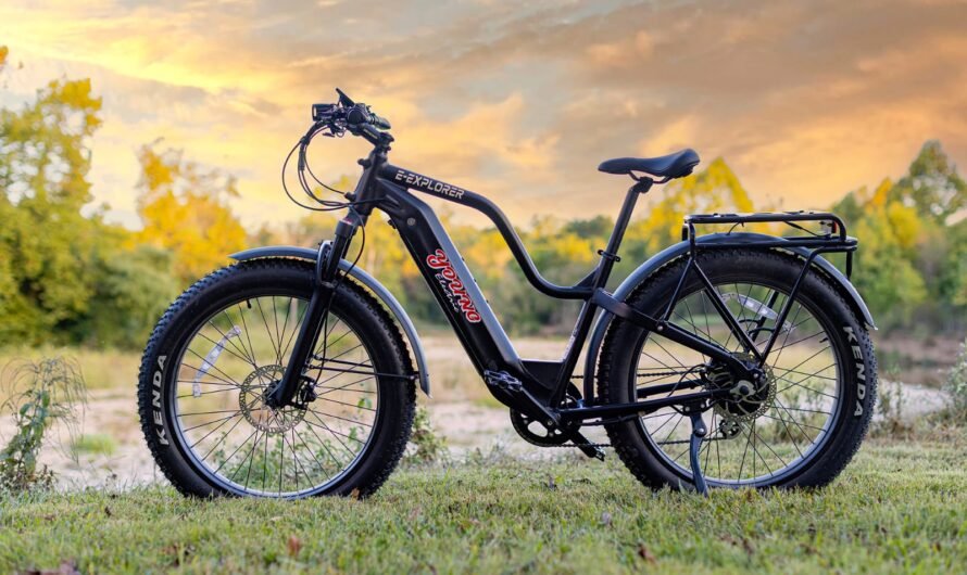 How big is the profit margin of long range ebike