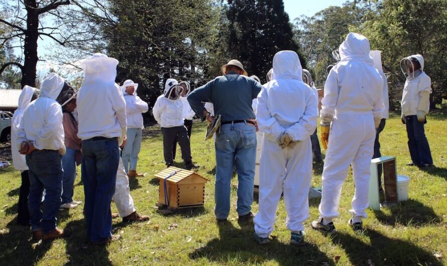 The Ultimate Guide to Bees Suit: A Beekeeper’s Essential Armor